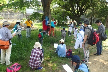 アンリファーブル光が丘公園,昆虫採集,夏休み,東京