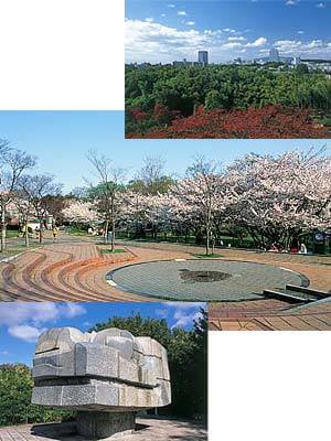 千里中央公園,水遊び,公園,大阪