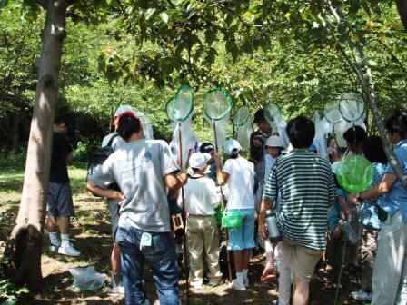 横浜市立金沢動物園 昆虫イベント,昆虫採集,神奈川,カブトムシ