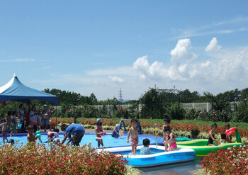 はままつフラワーパーク水遊び,じゃぶじゃぶ池,静岡県,おすすめ