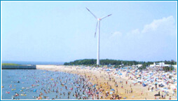 新舞子マリンパーク,海水浴場,愛知県,人気