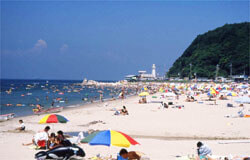 小野浦海水浴場,海水浴場,愛知県,人気