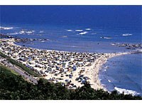 根本,海水浴場 ,バーベキュー,関東