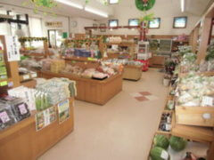 道の駅三本木やまなみ,宮城,ひまわり,名所