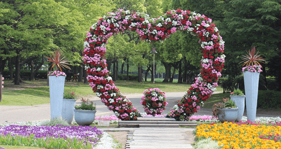 大阪市立 長居植物園,花,植物園,大阪