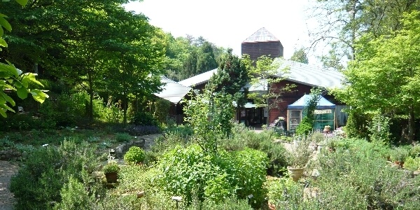 ハーブガーデン,花,植物園,大阪