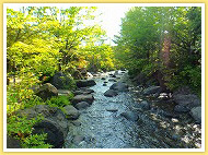 新潟県立烏屋野潟公園,新潟,水遊び,公園