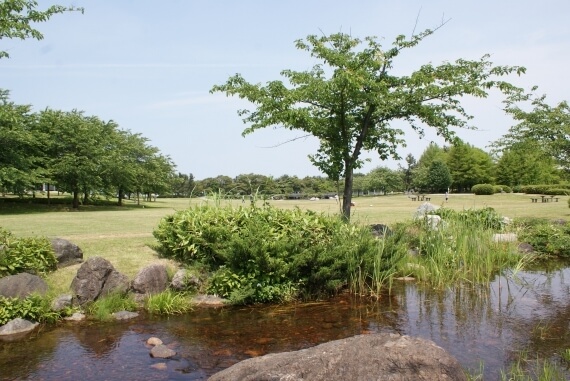 新潟県スポーツ公園,新潟,水遊び,公園
