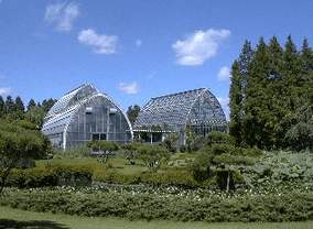 大崎園芸植物園,植物園,埼玉,おすすめ