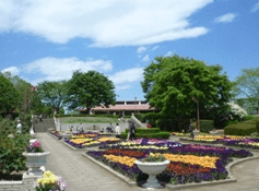 挟山市都市緑化植物園,植物園,埼玉,おすすめ