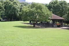 平和島公園,アスレチック,公園,大田区