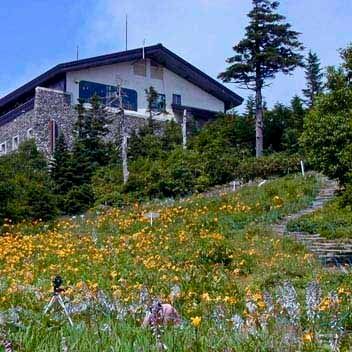 志賀高原 東館山高山植物園,長野,植物園,おすすめ