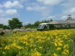 札幌市緑化植物園 百合が原公園緑のセンター,おすすめ,北海道,植物園