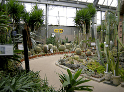 福知山市都市緑化植物園,京都,子連れ,植物園