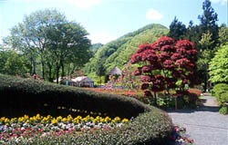 秋保大滝植物園,宮城,植物園,子連れ