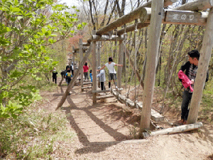 アスレチック,宮城,アスレチック,公園