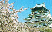 大阪城公園,大阪,花見,名所