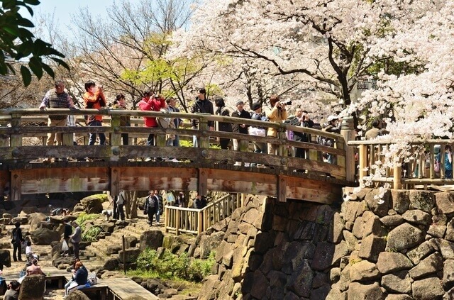 音無親水公園 ピクスタ,公園,水遊び,東京