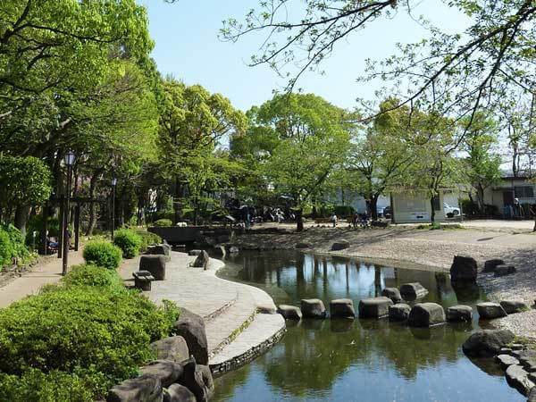 小松川境川親水公園,公園,水遊び,東京