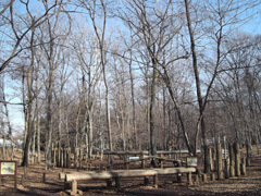 智光山公園,埼玉県,アスレチック,公園