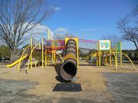 日高総合公園大型遊具,埼玉県,アスレチック,公園