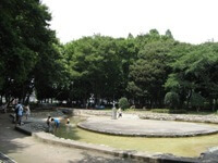 伊佐沼公園,埼玉県,アスレチック,公園