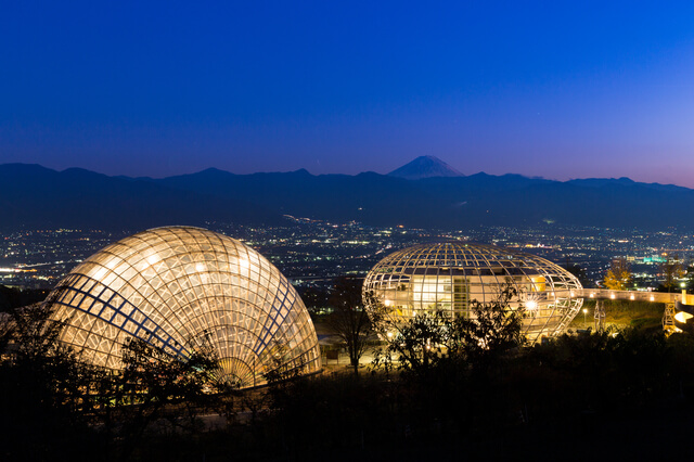 山梨県笛吹川フルーツ公園の夜景,アスレチック,山梨,