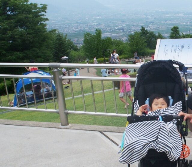 笛吹川フルーツ公園 眺望(オリジナル),アスレチック,山梨,