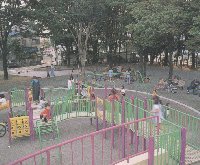 南河原公園,公園,水遊び,神奈川