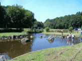 藤沢市少年の森のじゃぶじゃぶ池,公園,水遊び,神奈川