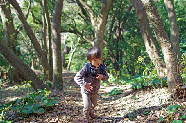 森の中を歩く男の子,科学館,宮城県,