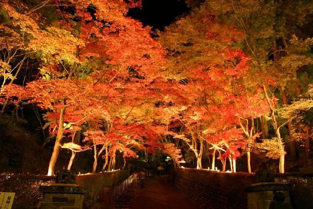 松雲山荘ライトアップ,新潟,紅葉,