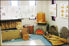 納豆展示館,笹沼五郎商店,