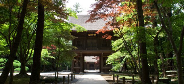 平林寺,紅葉,埼玉,