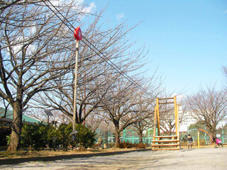 亀戸中央公園の児童コーナー,アスレチック,公園,