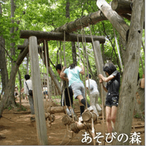 野山北・六道山公園のあそびの森,アスレチック,公園,