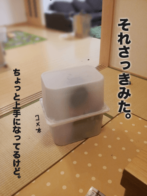 かくれ5,育児日記,育児絵日記,育児マンガ