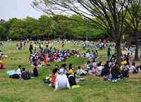 花畑園芸公園芝生,福岡,植物園,おすすめ
