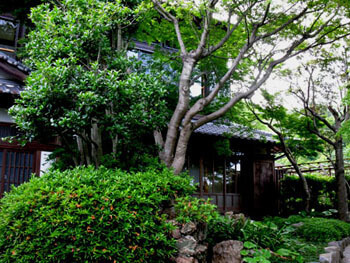 白野江植物公園,福岡,植物園,おすすめ