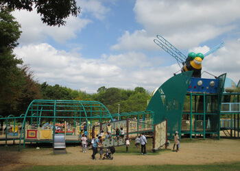 蜻蛉池公園,公園,アスレチック,大阪