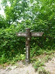 ハゲ山遊歩道,富山,登山,