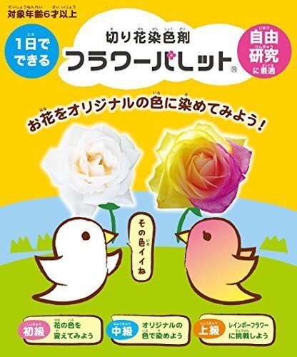 1日でできる切り花染色剤 フラワーパレット,色遊び,保育,ゲーム