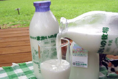 自家製の牛乳,まかいの牧場,