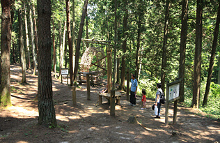 大亀山森林公園アスレチック,宮城,アスレチック,子ども