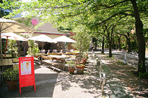 外観,ランチ,神谷町駅,
