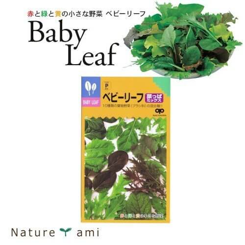 【ベビーリーフ菜っぱミックス 種 20ml】 3袋セット 【メール便(90円)送付商品】TVで話題のスプラウトの種 菜っぱ系10品種をミックス!,プランター,野菜,
