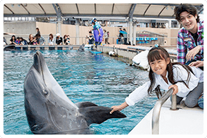 こども応援プロジェクト 西武 体験 プロジェクト 海,おでかけ,体験,