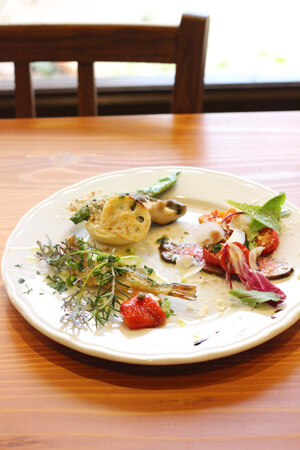 アルフレード,福井駅,ランチ,