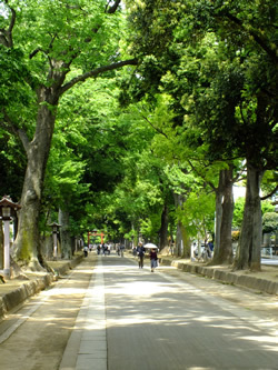 氷川参道,安産祈願,埼玉,おすすめ