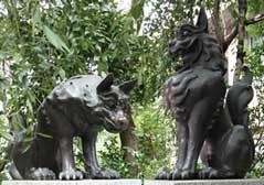 稲毛神社の狛犬,神奈川県,安産祈願,神社